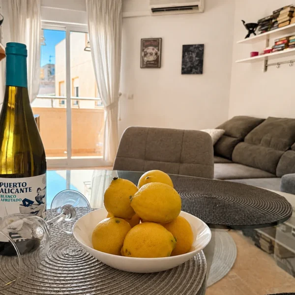 APARTMENT POOL TORREVIEJA (14)