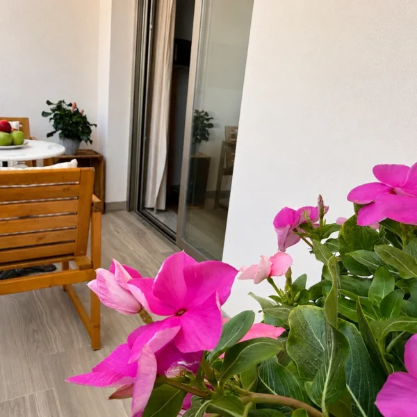 apartment los locos torrevieja pool helsinki (29)